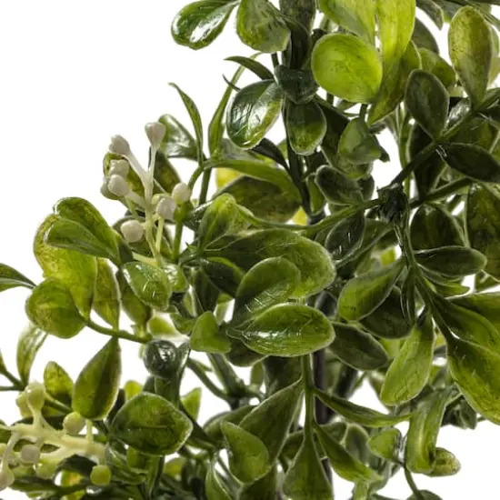 11" Boxwood Pick by Ashland&reg; {5}