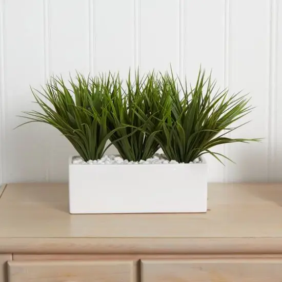 12" Vanilla Grass in White Rectangular Planter {6}