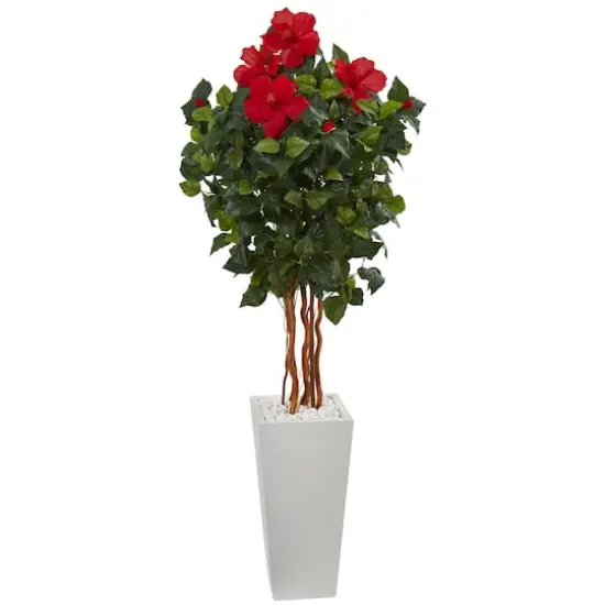 5ft. Red Hibiscus Tree in White Planter {1}