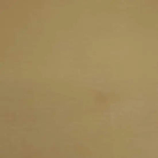 Fabric Merchants Bamboo Fabric Camel Brown {3}