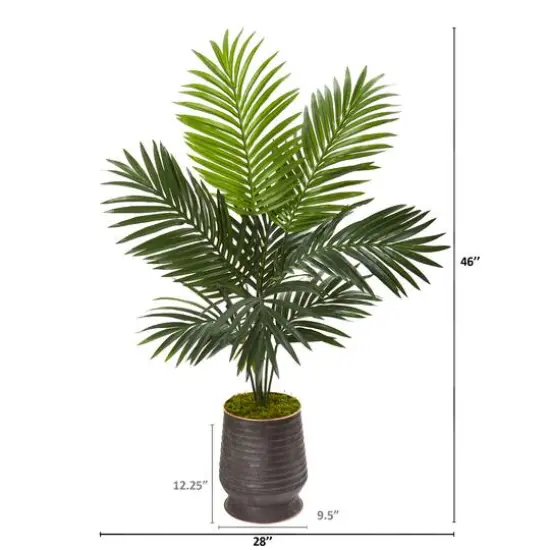 4ft. Kentia Palm Tree in Ribbed Metal Planter {3}