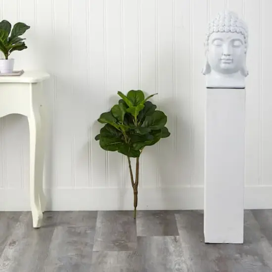 2.5ft. Fiddle Leaf Fig Tree {4}