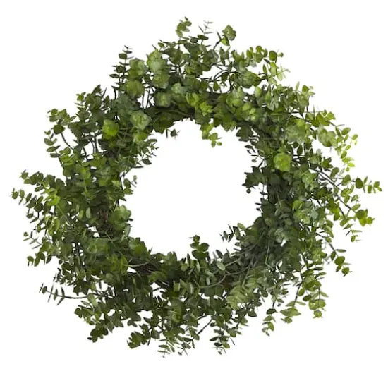24'' Green Eucalyptus Wreath {1}