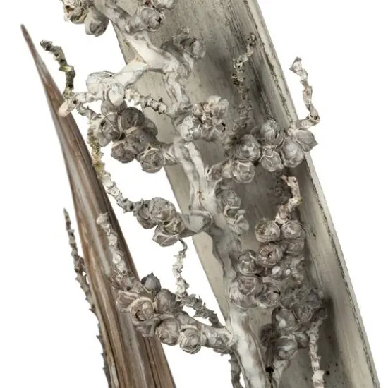 Dried White Wash Bahia Spears Bunch with Seeds, 2ct. {5}