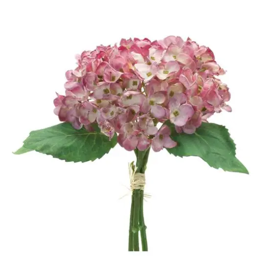Hydrangea Bundle, 6ct. {1}