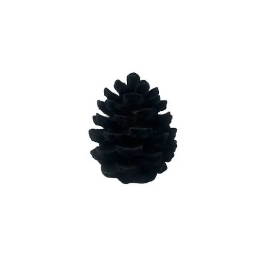 5" Black Flocked Pinecone Tabletop D&eacute;cor by Ashland&reg; {1}