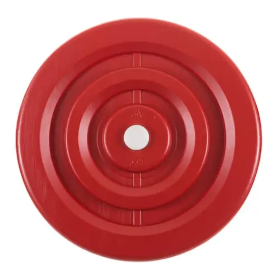 Toy Time Red Disc Swing {5}