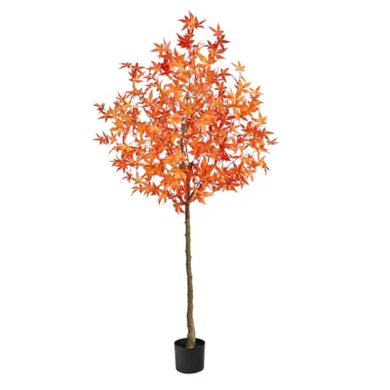 6ft. Potted Orange Autumn Maple Tree {1}