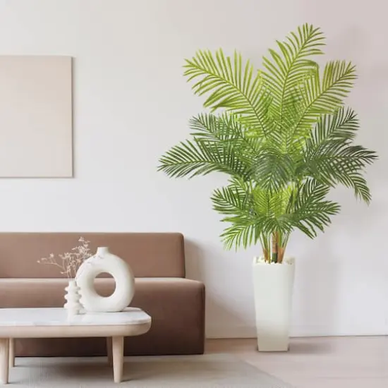 5.5ft. Hawaii Palm Tree in Tall White Planter {4}
