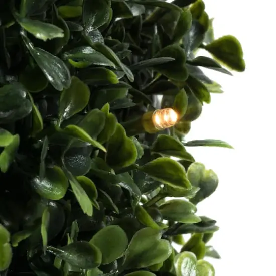 5ft. Pre-Lit Potted Boxwood Cone {4}