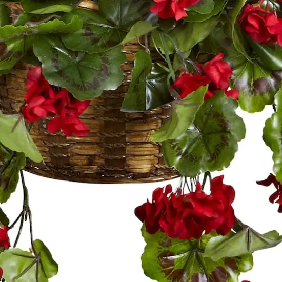 2.5ft. Geranium Hanging Basket {4}