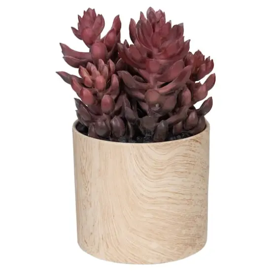 7" Purple Succulent in Faux Wood Pot {1}