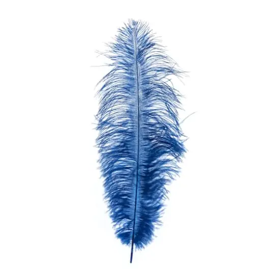 John Bead 11"-13" Ostrich Drab Feather Royal Blue {4}