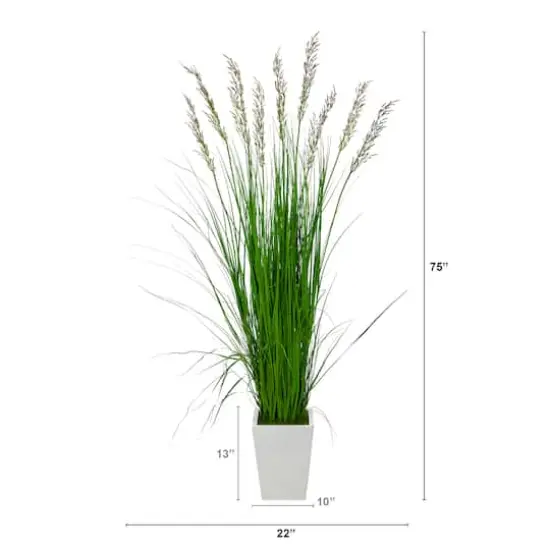 6.25ft. Grass Plant in White Metal Planter {5}