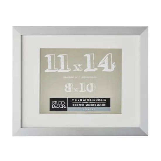 Silver Belmont Frame with Mat by Studio D&eacute;cor&reg; {1}