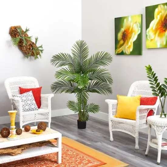 5ft. Potted Areca Palm Tree {5}