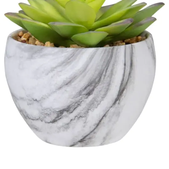 4" Green & Purple Succulent in Faux Marble Pot {4}