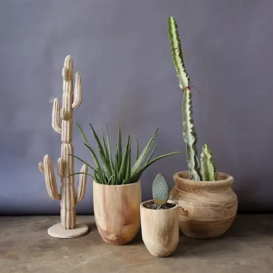 Hello Honey&reg; Rounded Paulownia Wood Pots Set {3}