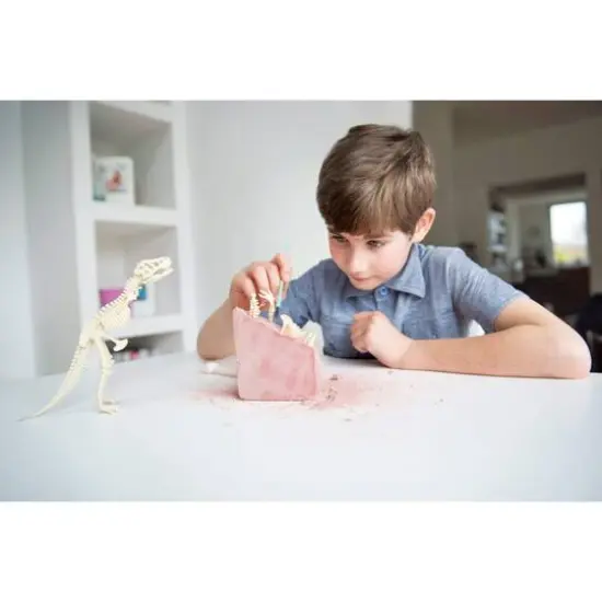 Toysmith&reg; 4M Kidz Labs Dig A Dinosaur Tyrannosaurus Rex Skeleton {4}