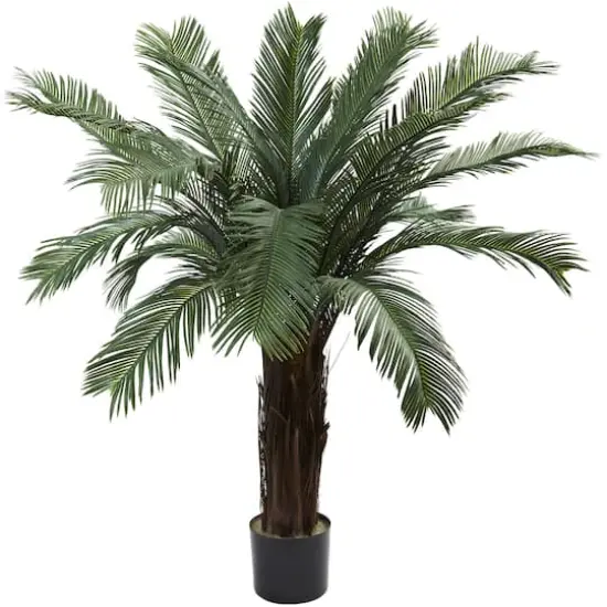 4ft. Potted UV Resistant Cycas Tree {1}
