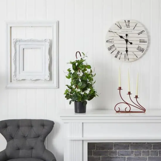 24&rdquo; Potted White Stephanotis Climbing Plant  {6}