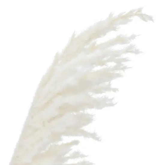 20" Cream Pampas Grass Deluxe Bush by Ashland&reg; {4}