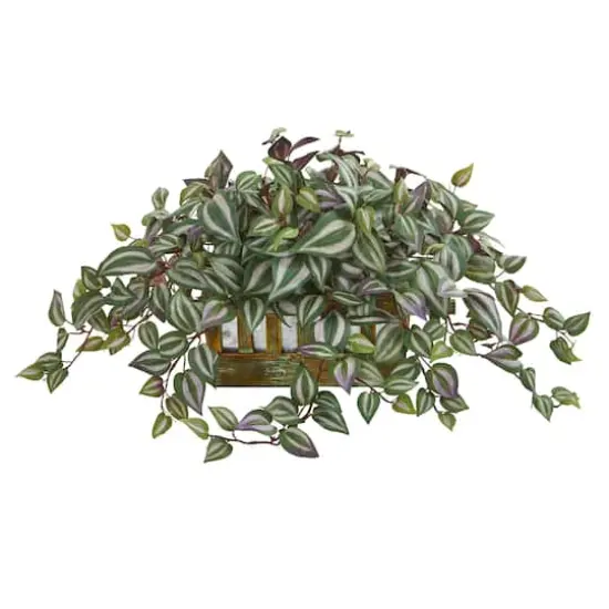 13" Inchplant in Decorative Planter {1}