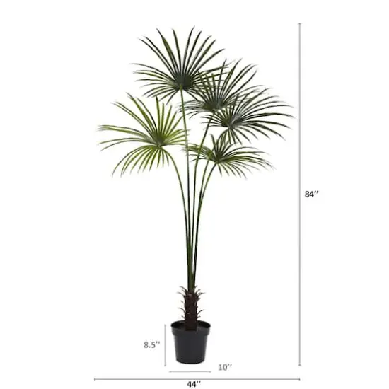 7ft. Potted Fan Palm Tree  {3}