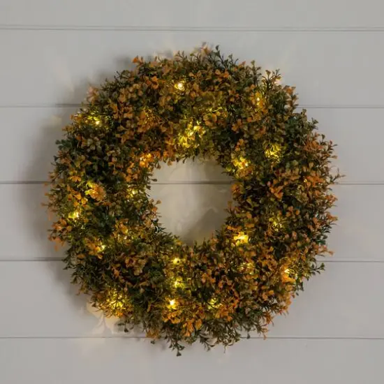 18in. Pre-Lit Autumn Boxwood Artificial Fall Wreath with 25 Warm White LED Lights {12}
