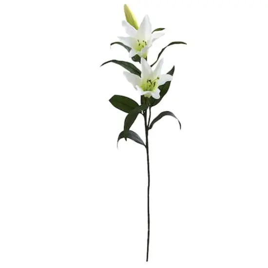 White Lily Stem, 12ct. {1}
