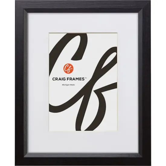 Craig Frames 4 Pack Economy Ebony Hardwood Picture Frame with Mat {4}