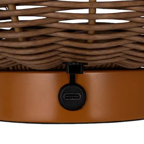 Hello Honey&reg; 14.25" Natural Plastic & Woven Rattan LED Lamp, 2ct. {7}