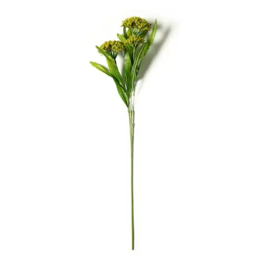 Green Queen Anne's Lace Stem by Ashland&reg; {1}