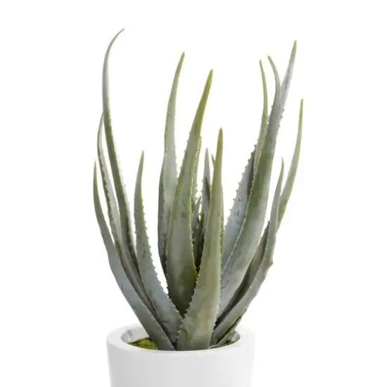 3ft. Contemporary Style Succulent Artificial Foliage in White Pot {6}