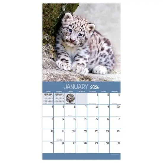 2026 Baby Animals Mini Calendar {3}