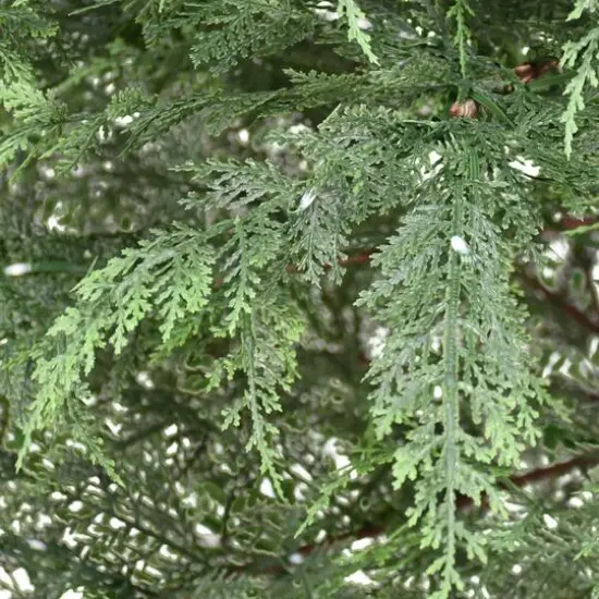 7.5ft. Pre-Lit Cypress Artificial Christmas Tree, Warm White LED Lights {6}