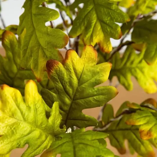 4ft. Pre-Lit Green Autumn Oak Artificial Fall Tree with 150 Warm White LED Lights {4}