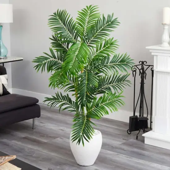 5ft. Areca Palm Tree in White Planter {5}