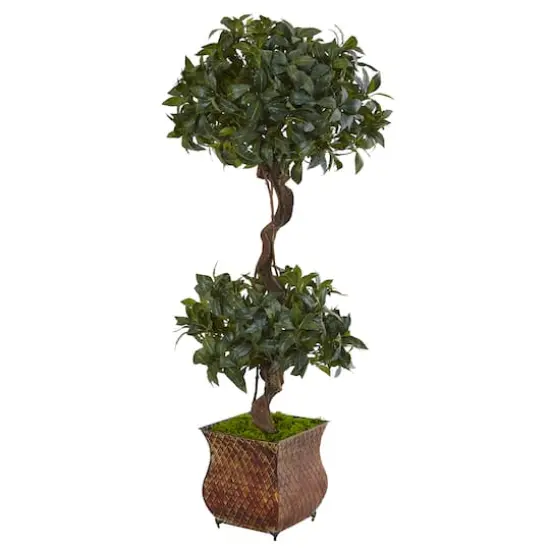 4.5ft. Sweet Bay Magnolia Double Topiary Tree in Metal Planter {1}