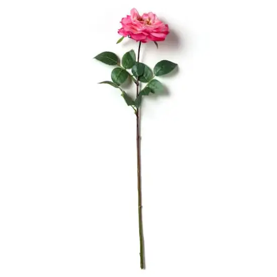 Garden Bloom Orlane Rose Stem Ashland&trade; Pink {1}