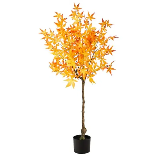 4ft. Potted Yellow Autumn Maple Tree {1}