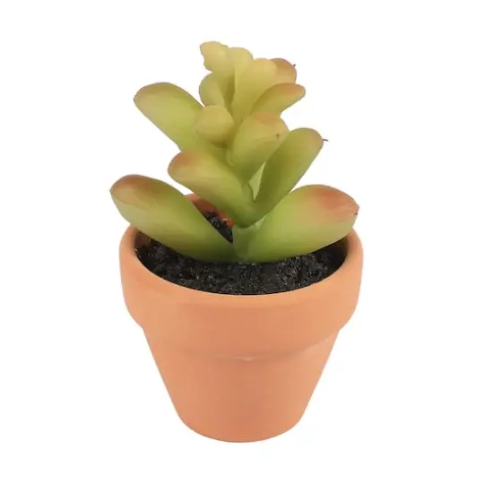 Mini Premade Succulents in Terra Cotta Pots, 6ct. by Ashland&reg; Light Green {4}