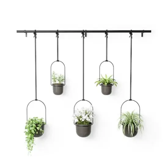 Umbra Black Triflora Hanging Planter Set {1}