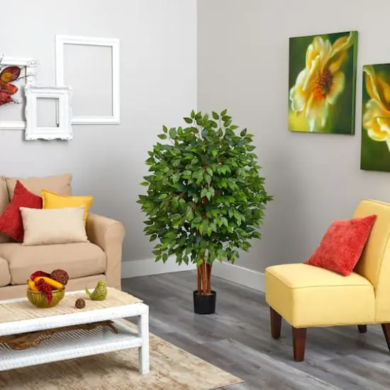 4ft. Potted Super Deluxe Ficus Tree {4}