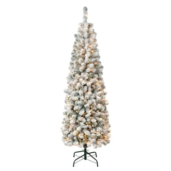 6ft. Pre-Lit Flocked Acacia Pencil Artificial Christmas Tree, Clear Lights {1}