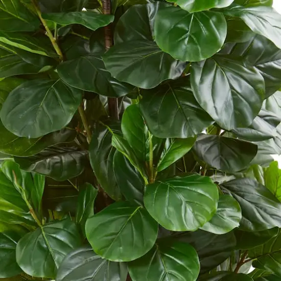 6ft. Potted Green Fiddle Leaf Fig Artificial Tree {3}