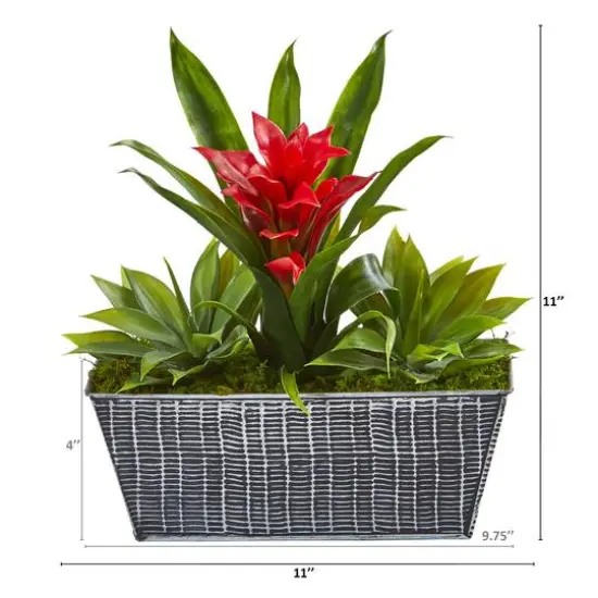 11" Bromeliad & Agave in Embossed Tin Planter {3}