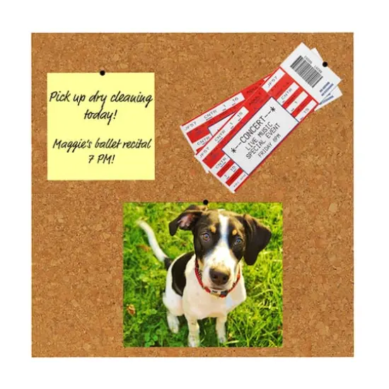 Flipside Products 12" x 12" Natural Cork Tile Pack, 2ct. {4}