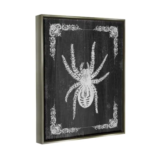 Stupell Industries Black & White Spider Framed Floater Canvas Wall Art Gray {4}