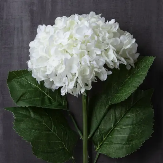 Small Cream Hydrangea Stem by Ashland&reg; {3}